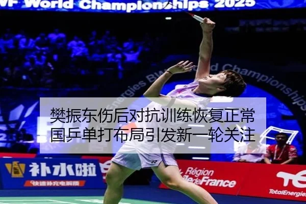 樊振东伤后对抗训练恢复正常 国乒单打布局引发新一轮关注 | leyu.comapp